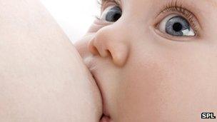 Breastfeeding infant