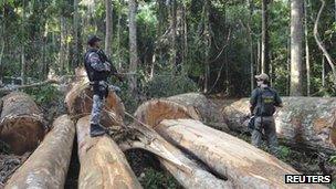 Members of the environmental police force inspect logs in Brazil's Para state in January 2013