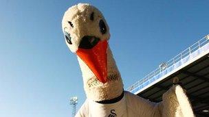 Cyril the Swan