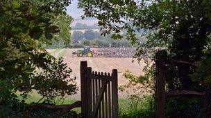 tractor ploughing field