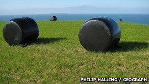 Bèilichean silage