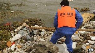 A sanitation worker collects a dead pig from Shanghai"s main waterway on March 11, 2013.