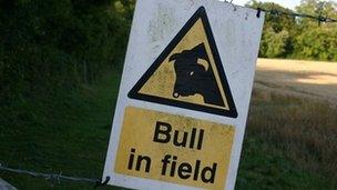 beware of bull sign