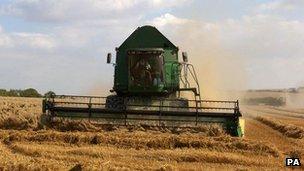 A harvester in a field