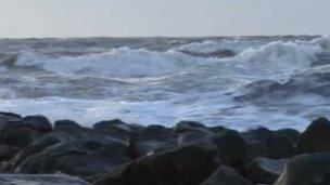 Reef at Borth