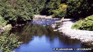 River Roe in Roe VAlley Country Park