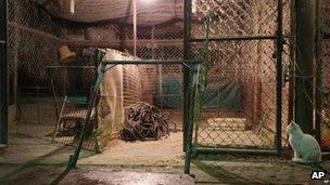 Empty poultry cage at a market in Shanghai, China (6 April 2013)