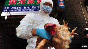 A technician from Changsha Animal Disease Prevention and Control Centre tests birds in a market in Changsha, central China's Hunan province, 7 April 2013