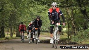 New Forest Sportive