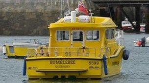 Bumblebee's catamaran