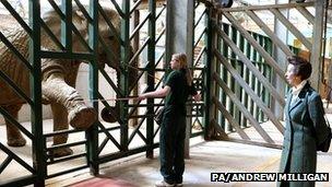 Elephant habitat safari