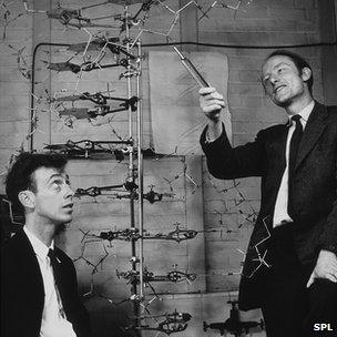 James Watson (left) and Francis Crick