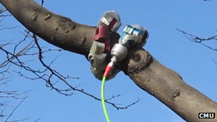 Robot snake wrapped around tree branch