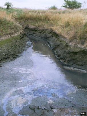 Polluted stream