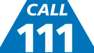 NHS 111 logo