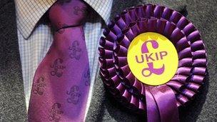 A UKIP candidate's tie and rosette