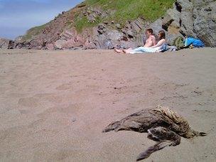 Tregonhawke beach at Whitsand Bay