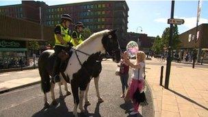 Police horses