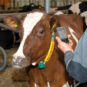 Farmer with a smartphon