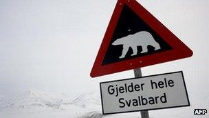 A sign in Sweden warns of polar bears