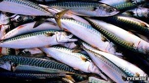 EU agrees to new fish dumping laws