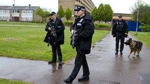 Armed officers in Marsh Farm, Luton