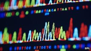Computer screen display showing the colour-coded peaks of spectra showing genetic sequences