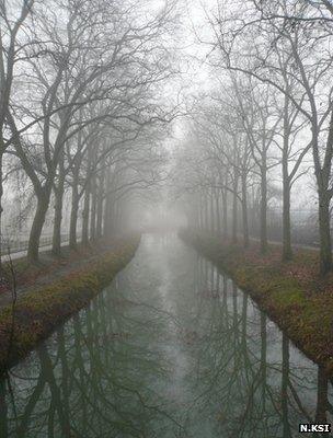 Plane trees lining the Canal du Midi (Image: Nirgal Ksi)