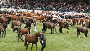 The Royal Welsh Show