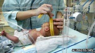 Premature baby in hospital