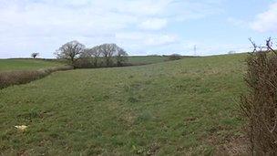 Fields near Elburton