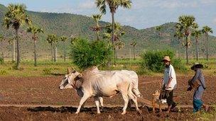 Two farmers in Burma