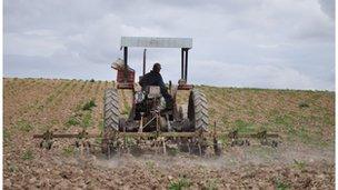 A man drives a tractor on Marlinaleda's co-operative farm, which employs around half the local population.