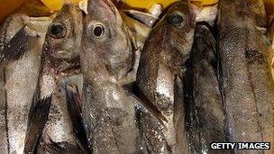 Haddock in Grimsby - file pic