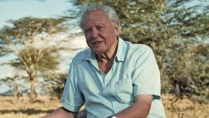 Sir David Attenborough