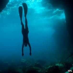 Freediver (c) SPL