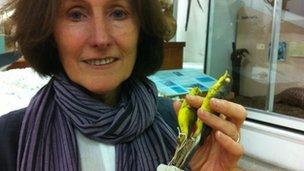Prof Pat Monaghan and two yellow birds