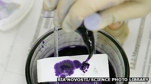 Bacteria