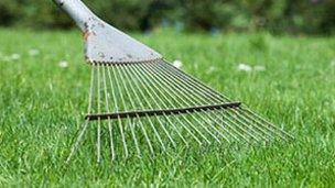 A lawn and rake