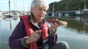 Jackie Hall from the Manx Basking Shark Watch