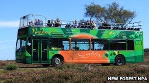 New Forest tour bus