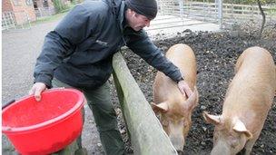 Bill Quay Community Farm