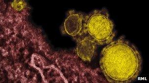 Mers particles