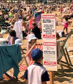 File photo from 1999 of a jellyfish warning sign on a beach (Image: PA)