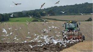 Ploughing a field