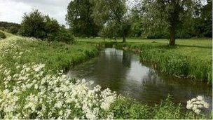 Cotswolds