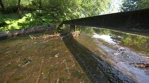 Montgomery canal, Shropshire