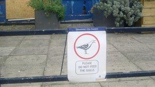 Do not feed the birds sign