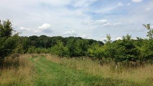 View from the edge of the proposed drilling site