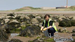 Sellafield environment monitoring